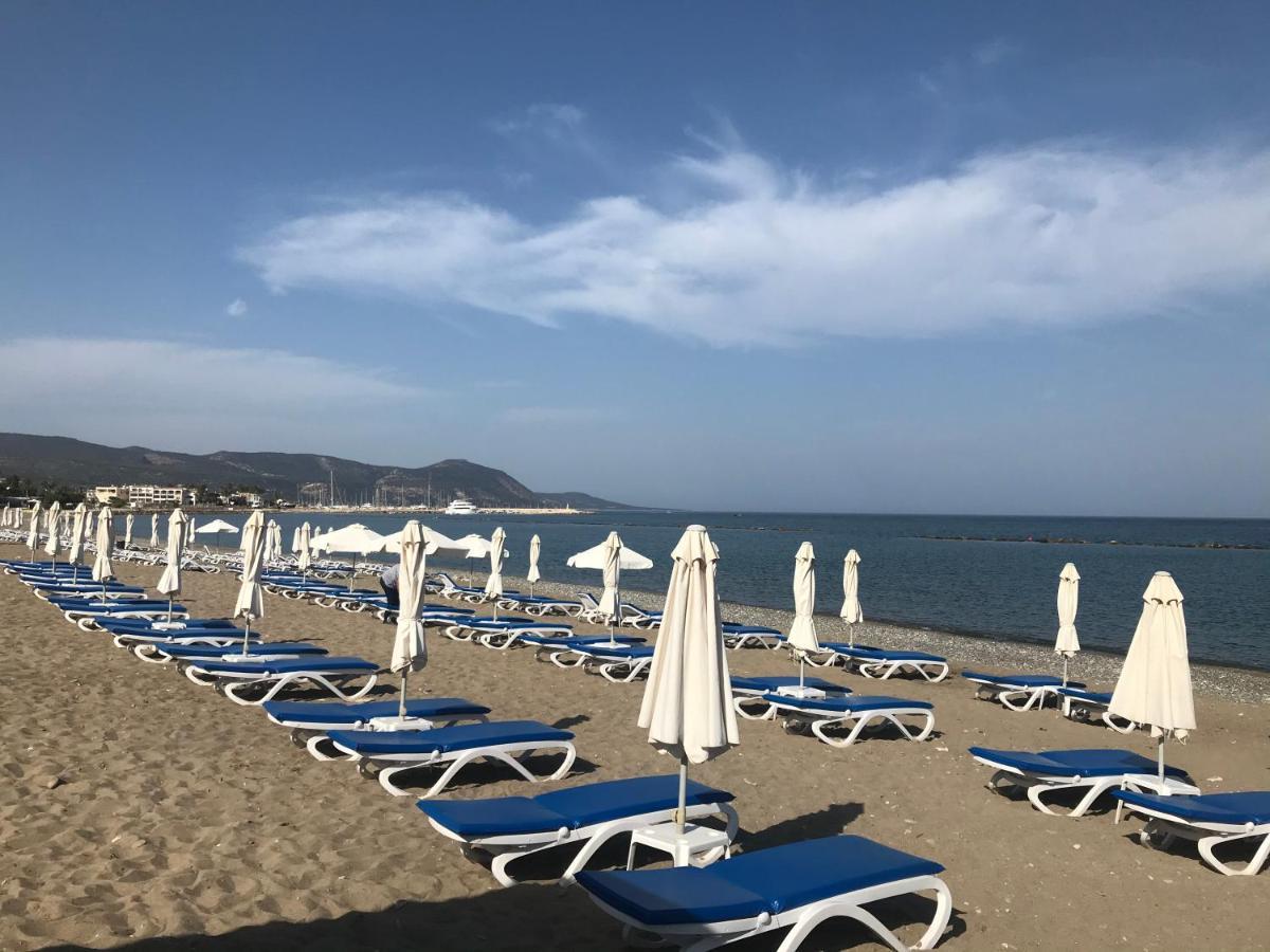 Andromeda Beach House Polis Zewnętrze zdjęcie