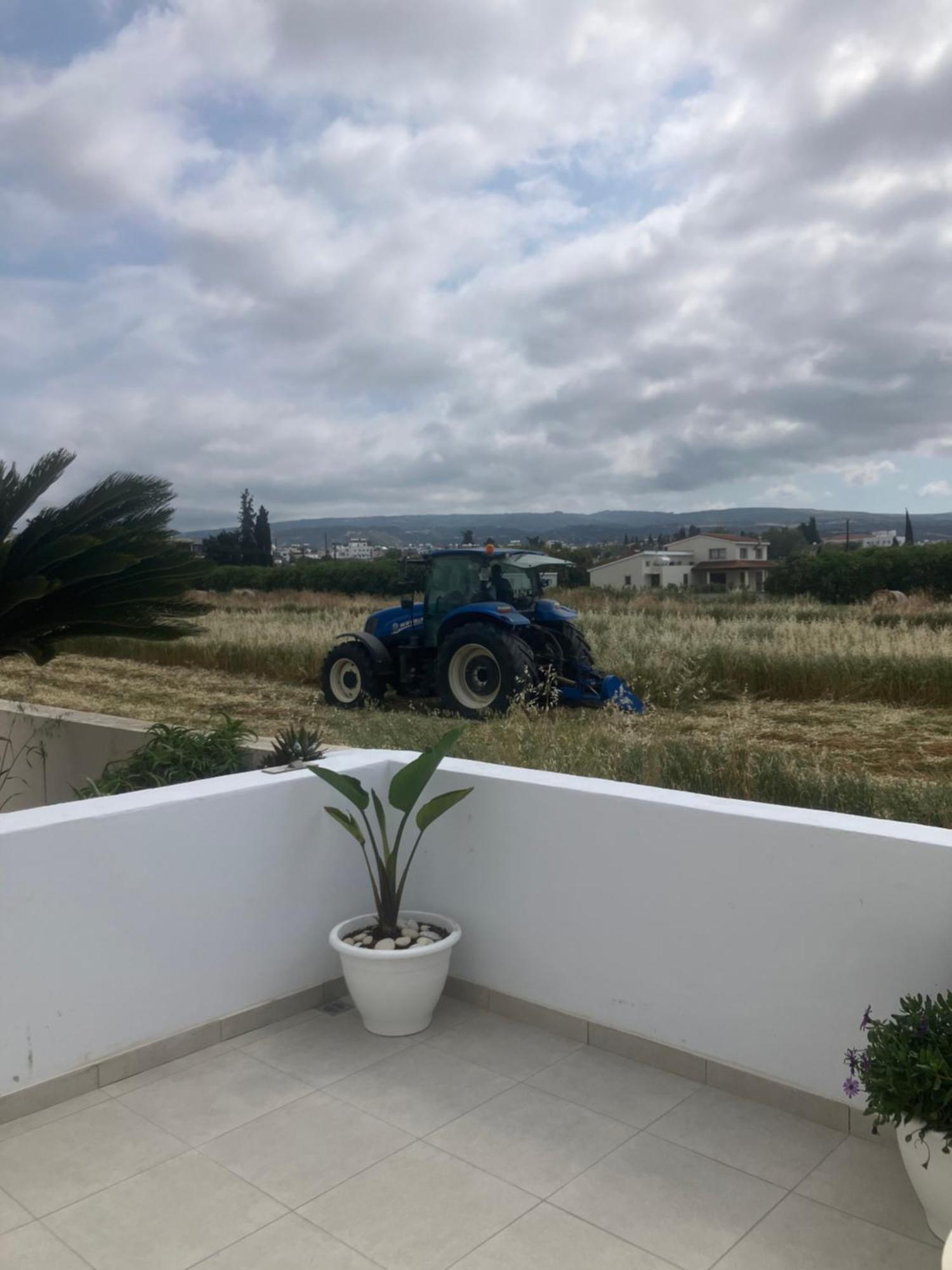 Andromeda Beach House Polis Zewnętrze zdjęcie